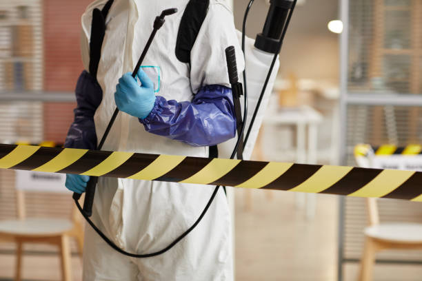 Professional Sewage Cleanup technician working in Warren, IL